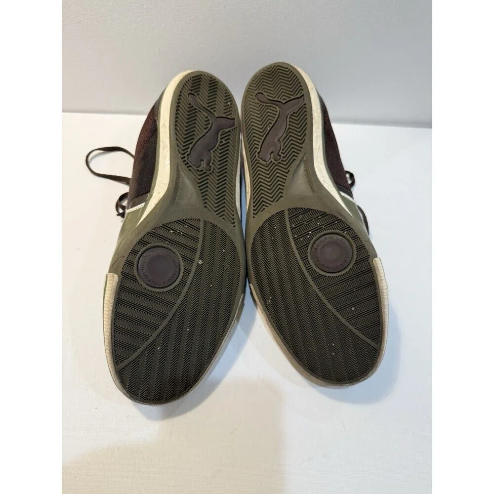 Puma momentta vulc
